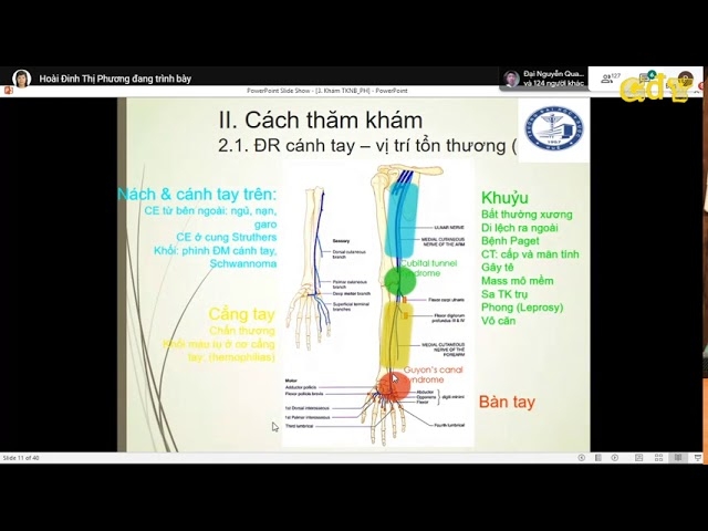 Tổng hợp bài giảng về Khoa học thần kinh