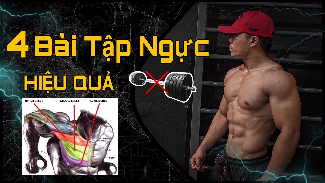 Tổng Hợp Các Bài Tập Cơ Ngực Đốt Mỡ Hiệu Quả