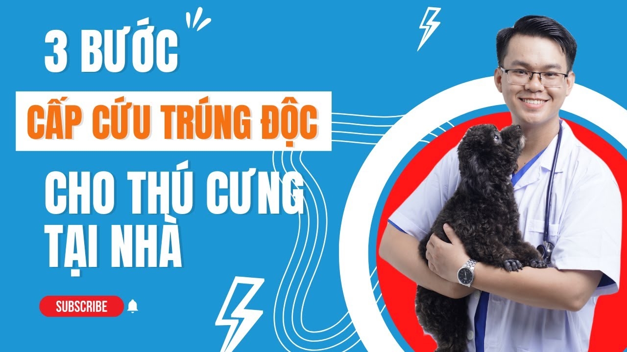 Hướng dẫn chăm sóc thú cưng