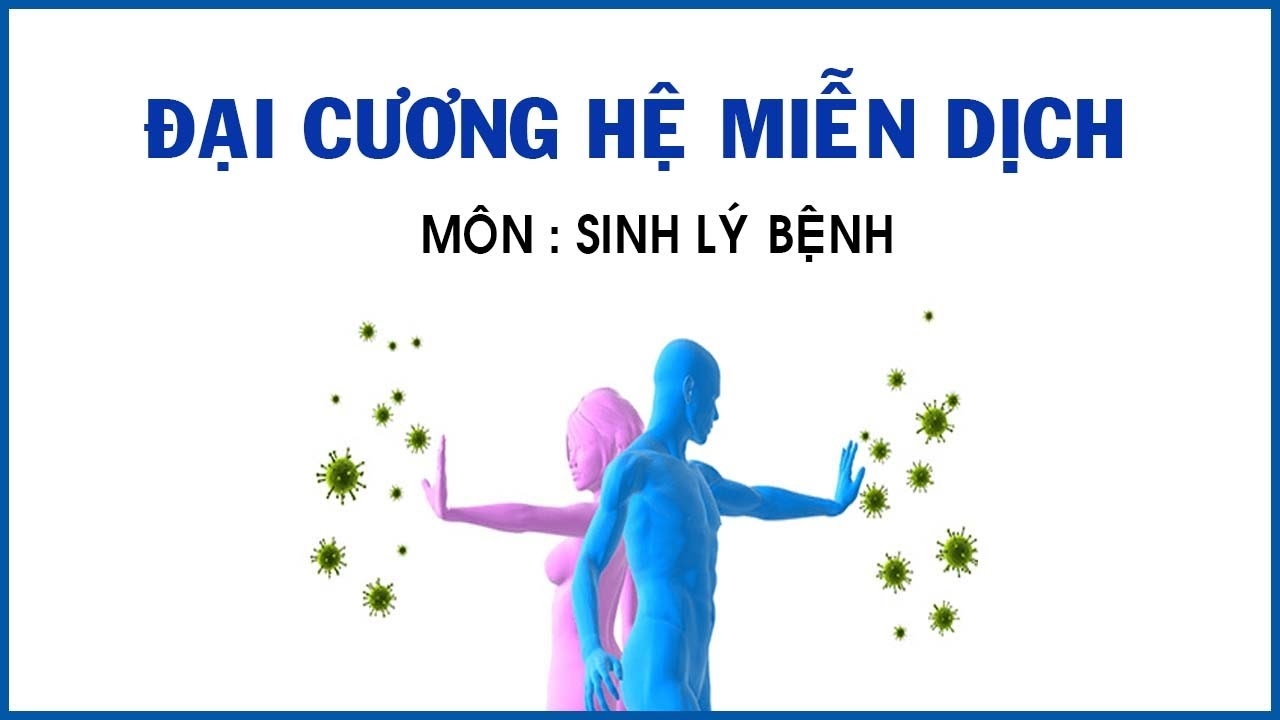 Sinh Lý - Sinh Lý Bệnh - Giải Phẩu