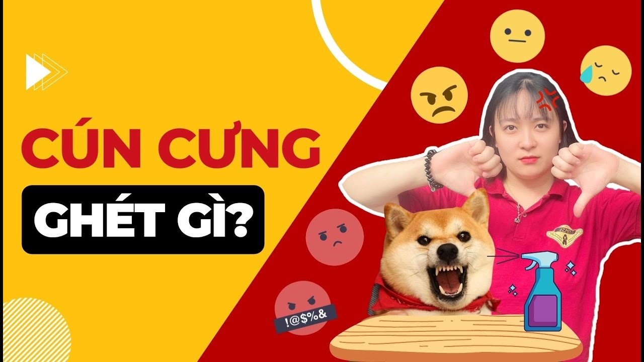 Hành Vi Của Thú Cưng